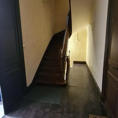 The Bright Cocoon - Charming In *