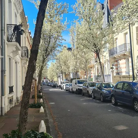 The Bright Cocoon - Charming In *