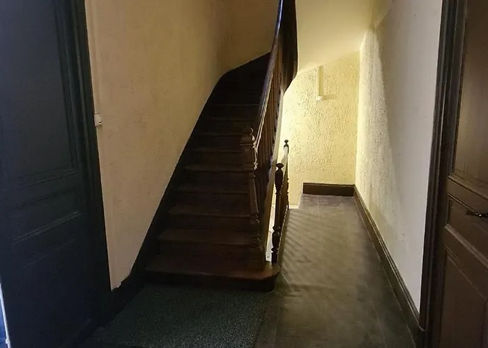 The Bright Cocoon - Charming In *