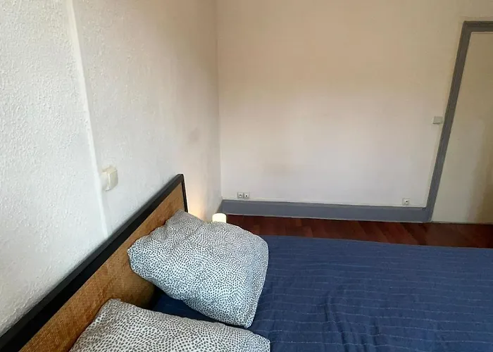 The Bright Cocoon - Charming In