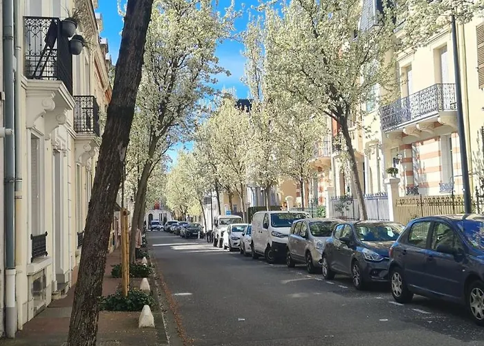 The Bright Cocoon - Charming In *